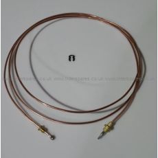 Electrolux Thermocouple and Clip