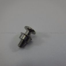 Siemens Bolt
