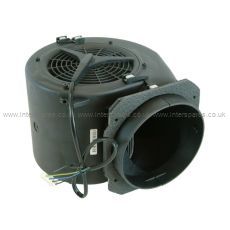 Cata Motor