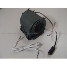 Cata Motor