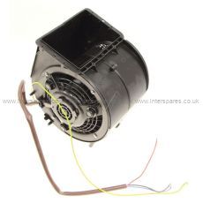 Neff Motor Assembly
