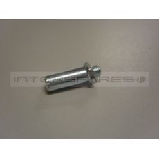 Frigidaire Hinge Pin c/w Nut