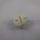 Electrolux TURNBUCKLE SCREW - CREAM