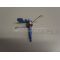 Hotpoint CATCH / SPRING