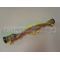 Electrolux Brush Roller / Agitator
