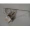 Apelson Cata Cooke & Lewis Kompact Thermostat