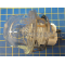 Cda Lamp Assembly