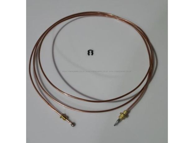 Electrolux Thermocouple and Clip