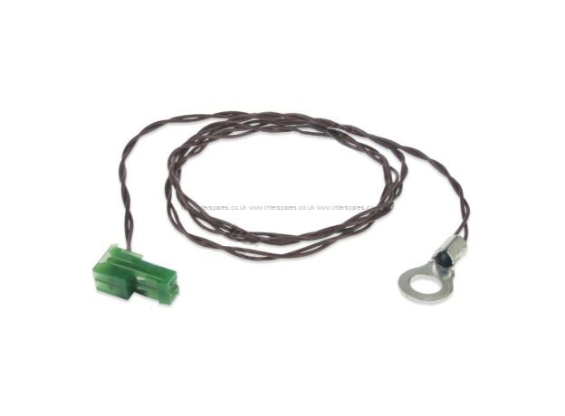 Burco Sensor NTC eyelet