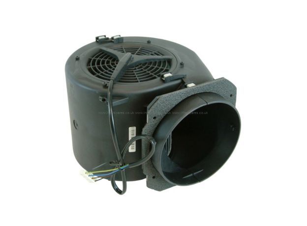 Cata Motor