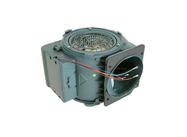 Cata Motor Assembly