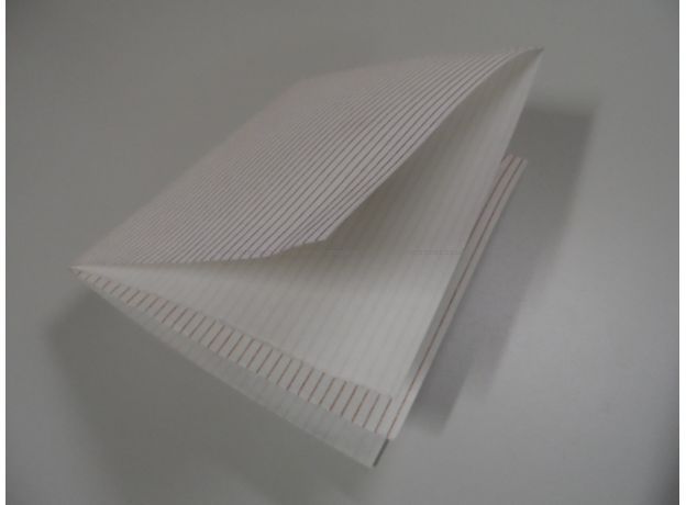Whirlpool Philips GREASE FILTER