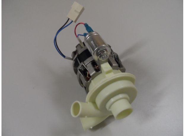 Homeking Proline Circulation Pump Motor