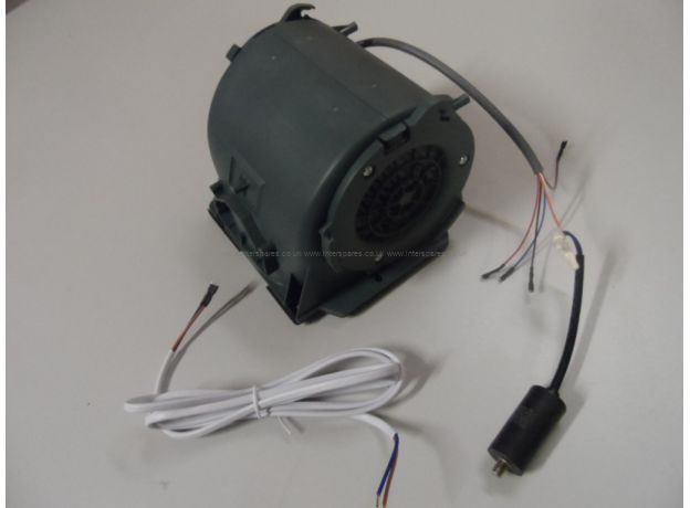 Cata Motor