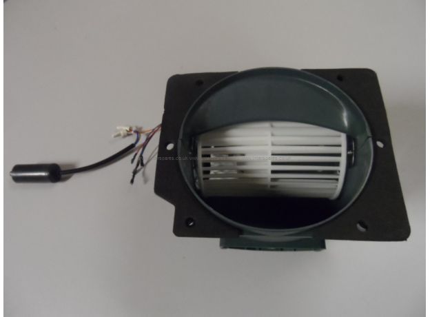Cata Motor