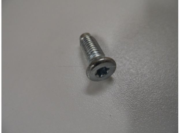 Hotpoint Drum Spider Securing Nut X30 Torx Screw M8