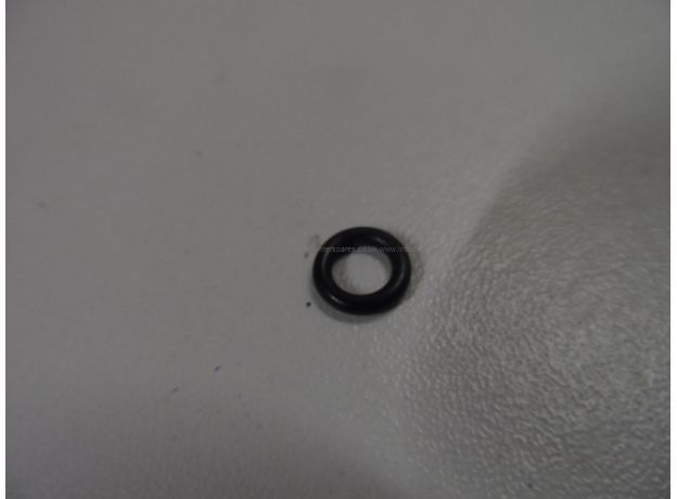 Asber Rinse Nozzle O Ring