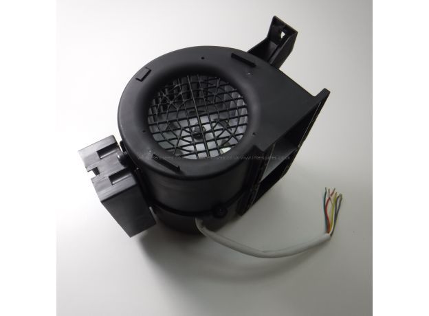 Cda Motor Assembly