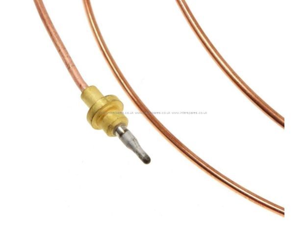 Electrolux Thermocouple and Clip