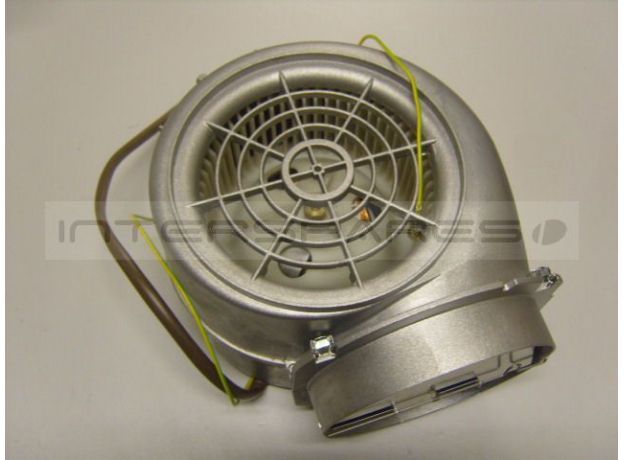 Fisher & Paykel Motor
