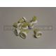 Zanussi Electrolux Aeg Tricity Bendix Basket Wheel Kit - Upper