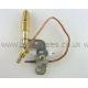 Valor PILOT ASSEMBLY WITH THERMOCOUPLE