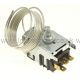 Electrolux Thermostat