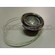 Hygena Halogen Lamp Assembly