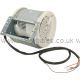 Smeg MOTOR - 6 WIRE