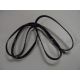 White Knight Belt - 4 Ribbed