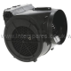 Neff Motor